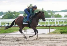 Mike Somich’s Preakness Stakes Laurel Park Picks and Predictions preakness stakes best bets and predictions
