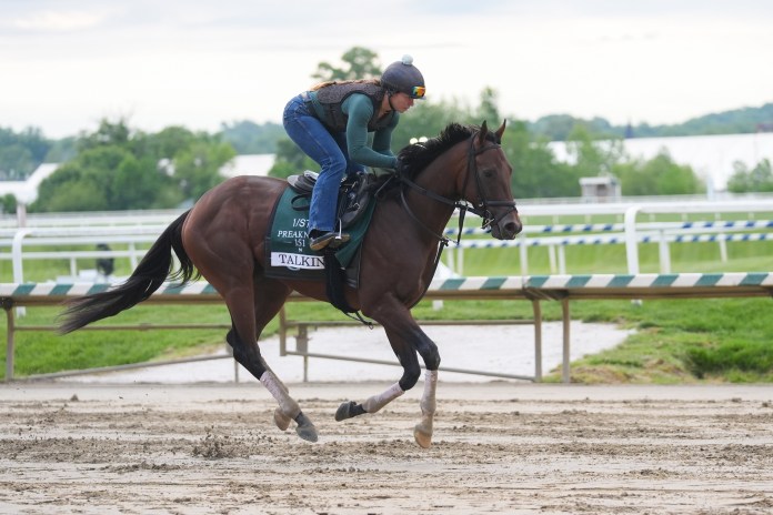 preakness stakes best bets and predictions