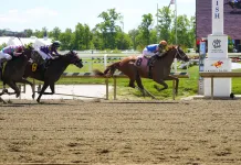 Tuley’s Takes: 2026 Preakness Stakes Day at Laurel Park on Saturday, May 16 Preakenss, Laurel Park