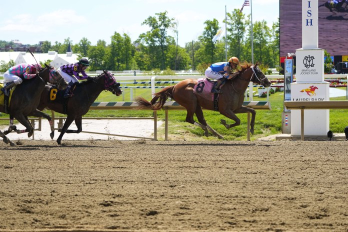 Preakenss, Laurel Park