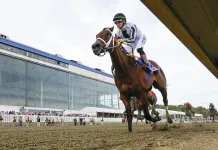 Laurel Park Horse Racing Picks and Predictions for Saturday, May 16 Laurel Park, Preakness, horse racing