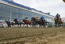 Preakness Stakes at Laurel Park: Picks and Analysis for Saturday, May 16 Preakness Stakes, Laurel Park