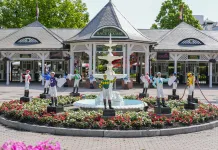 2026 Belmont Stakes Post Draw and Opening Odds belmont stakes post draw