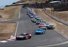 Toyota Save Mart 350 Predictions: Top 5 Picks and Best Long Shots Shane van Gisbergen NASCAR driver
