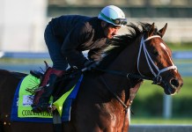 Belmont Stakes at Saratoga: Picks, preview, and post time for Saturday, June 6 belmont stakes saratoga picks predictions daily racing form drf