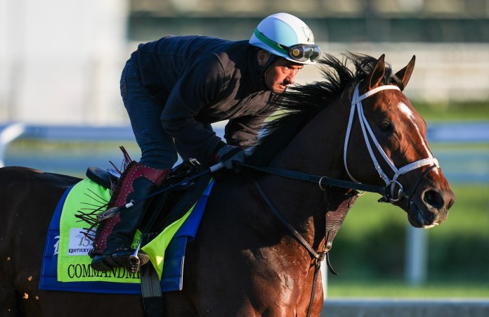 belmont stakes saratoga picks predictions daily racing form drf