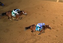 Acorn Stakes at Saratoga: Picks, preview, and post time for Friday, June 5 acorn stakes saratoga preview and picks