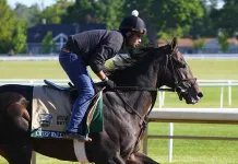 Mike Somich’s Belmont Stakes Picks, Jaipur Invitational Selections belmont stakes picks selections