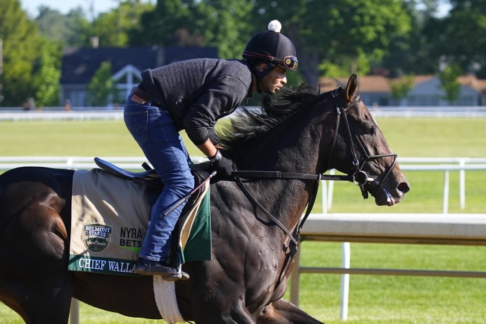 belmont stakes picks selections