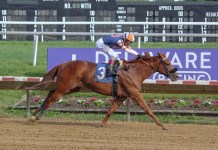 Horse Racing Picks Today at Delaware Park for Wednesday, July 1 Delaware Park, horse racing