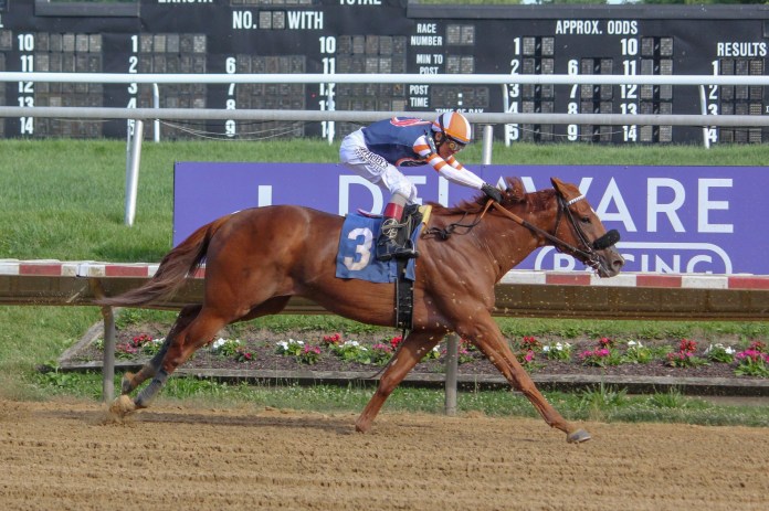 Delaware Park, horse racing