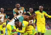 Best Bets for World Cup Day 15 South Africa in World Cup