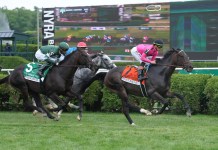 Horse Racing Picks Today at Saratoga for Wednesday, July 29 Horses race at Saratoga Springs