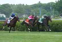 Saratoga Horse Racing Picks and Predictions Today for Saturday, August 1 Saratoga, horse racing