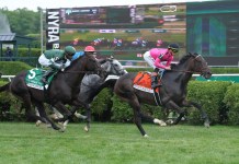 Belmont Oaks, Suburban Stakes Picks from Mike Somich for Saturday, July 4 saratoga stakes belmont oaks predictions picks