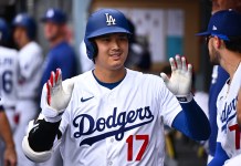Top Division Winner Picks from the MLB Betting Splits