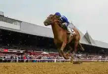Saratoga Horse Racing Picks and Predictions Today for Thursday, August 20 Saratoga, horse racing