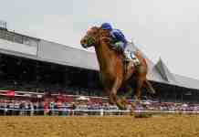 Horse Racing Picks Today at Saratoga for Saturday, August 29 Saratoga, horse racing