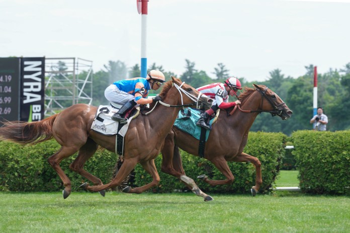 Two race horses at Saratoga Springs race track