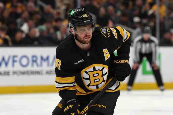 David Patrnak, Boston Bruins, NHL