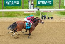 Hopeful Stakes 2026 Entries, Post Positions, Odds, and Picks hopeful stakes 2026 saratoga race course