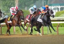 Horse Racing Picks Today at Saratoga for Tuesday, September 2 Horses racing at Saratoga