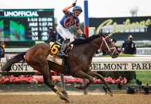 Horse Racing Picks Today at Belmont Park for Wednesday, October 7 belmont park, horse racing