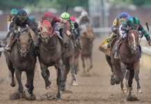 Breeders’ Cup Picks: BC Classic 2026 Entries, Odds, and Predictions Forever Young, Breeders' Cup Classic