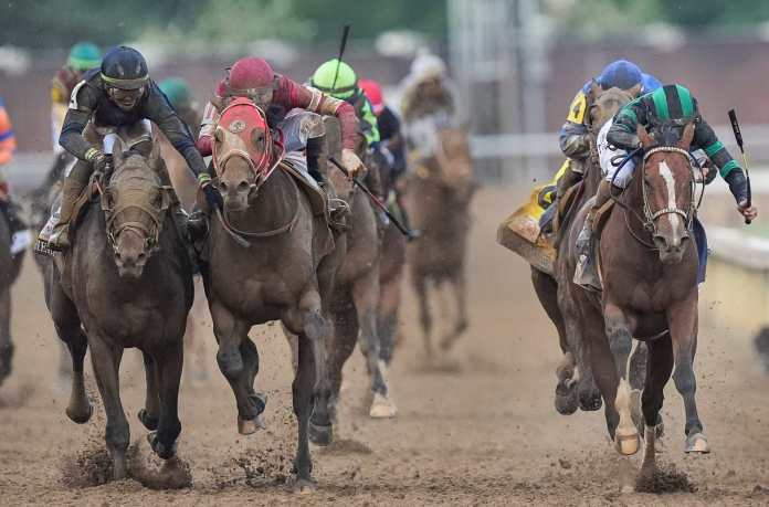 Forever Young, Breeders' Cup Classic