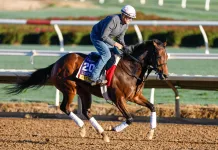 Breeders’ Cup Distaff 2026 Entries, Post Positions, Odds, and Picks breeders cup distaff predictions picks keeneland