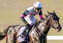 Breeders’ Cup Picks: BC Juvenile Fillies 2026 Preview and Predictions Breeders' Cup Juvenile Fillies