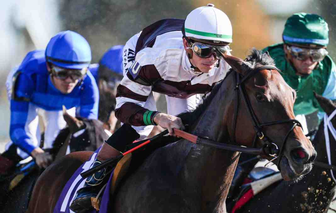 Breeders' Cup